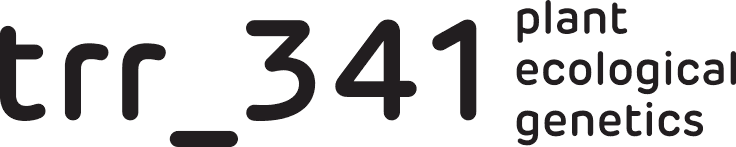 Logo des DFG SFB/TRR 341 Ökologische Genetik der Pflanzen